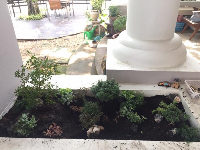 DIY Giant tray garden