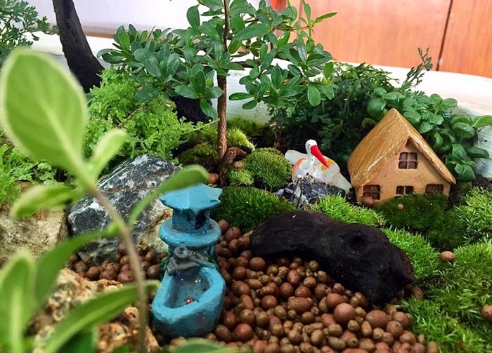 DIY Giant tray garden