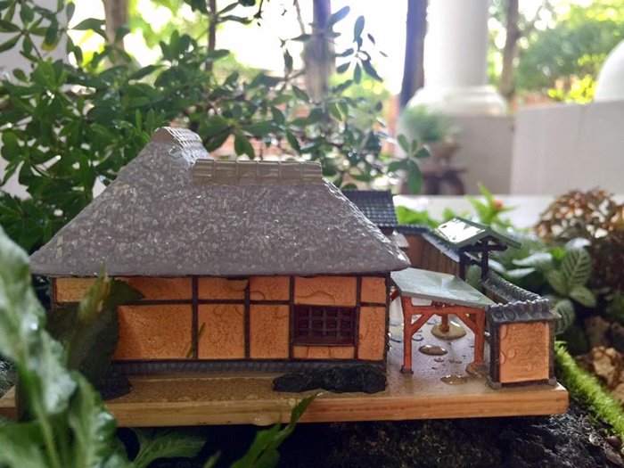 DIY Giant tray garden