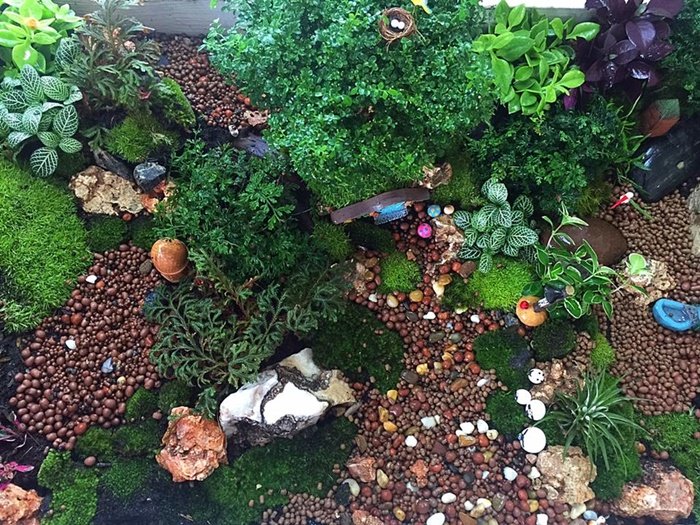 DIY Giant tray garden