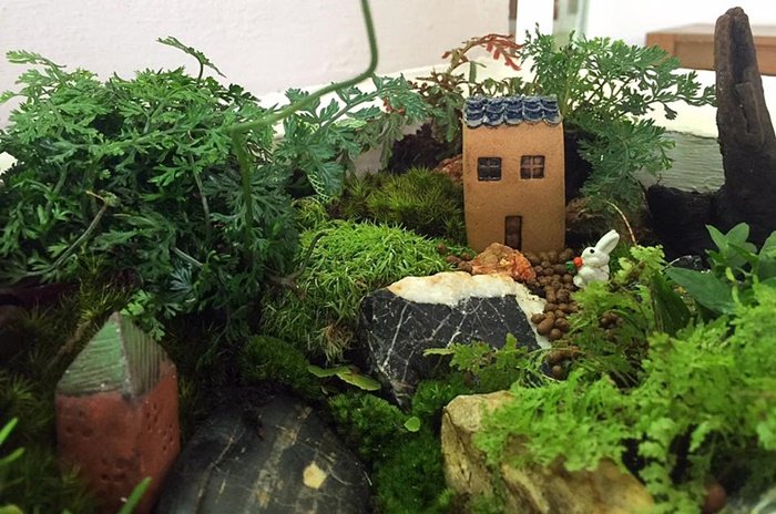 DIY Giant tray garden