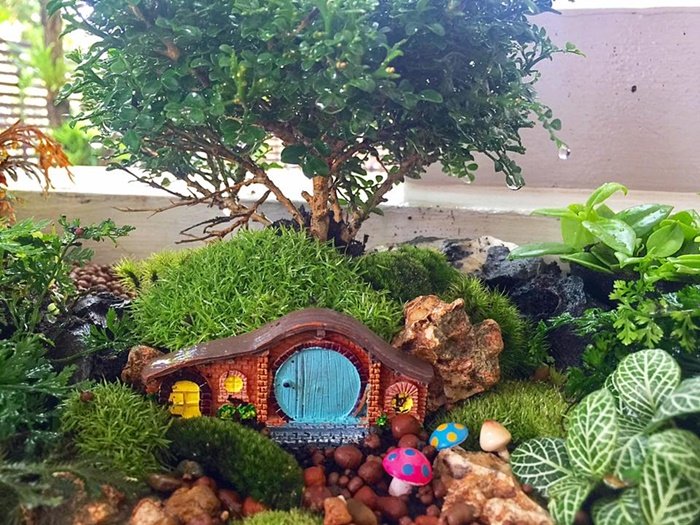 DIY Giant tray garden