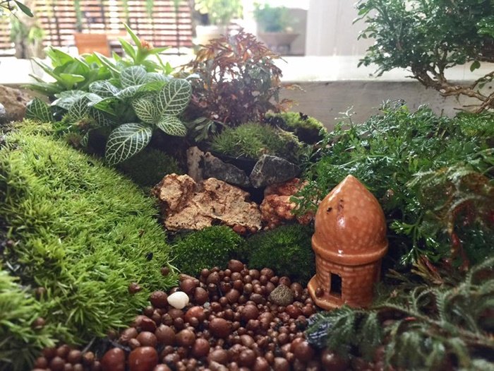 DIY Giant tray garden