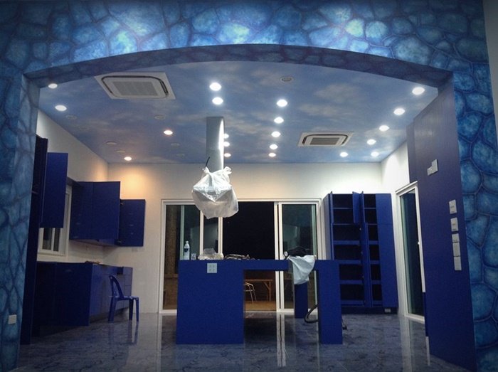 เปลี่ยนผนังบ้านราคา 10 ล้านเป็นผืนผ้าใบ ยกทะเล ทุ่งนาไทย ทุ่งลาเวนเดอร์ มาไว้รวมกัน