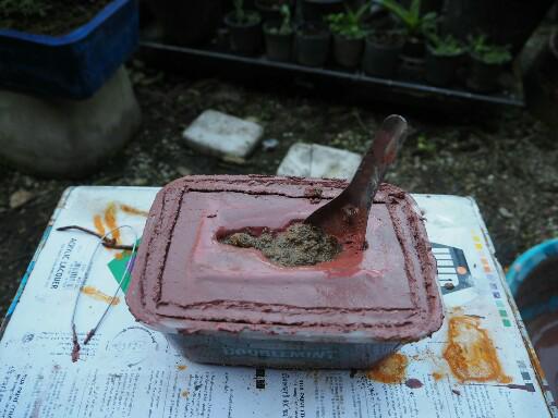 แชร์ไอเดีย DIY กระถางต้นไม้จากกล่องข้าวพลาสติกขั้นตอนทำง่ายใช้อุปกรณ์น้อยชิ้น