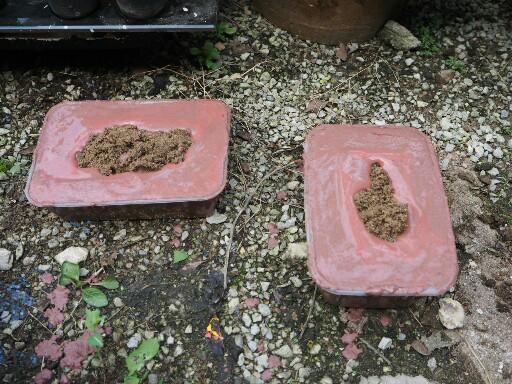 แชร์ไอเดีย DIY กระถางต้นไม้จากกล่องข้าวพลาสติกขั้นตอนทำง่ายใช้อุปกรณ์น้อยชิ้น