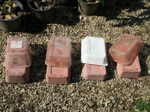 แชร์ไอเดีย DIY กระถางต้นไม้จากกล่องข้าวพลาสติกขั้นตอนทำง่ายใช้อุปกรณ์น้อยชิ้น