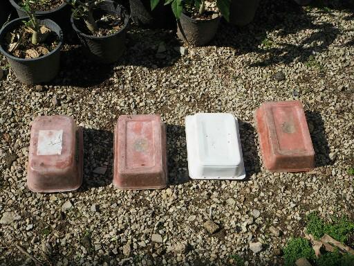 แชร์ไอเดีย DIY กระถางต้นไม้จากกล่องข้าวพลาสติกขั้นตอนทำง่ายใช้อุปกรณ์น้อยชิ้น