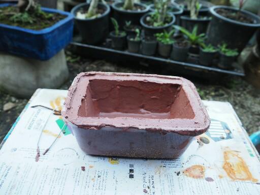 แชร์ไอเดีย DIY กระถางต้นไม้จากกล่องข้าวพลาสติกขั้นตอนทำง่ายใช้อุปกรณ์น้อยชิ้น