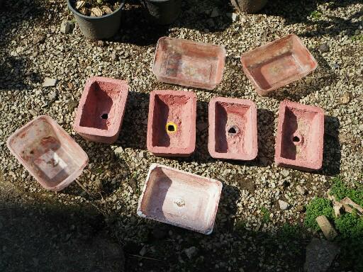 แชร์ไอเดีย DIY กระถางต้นไม้จากกล่องข้าวพลาสติกขั้นตอนทำง่ายใช้อุปกรณ์น้อยชิ้น