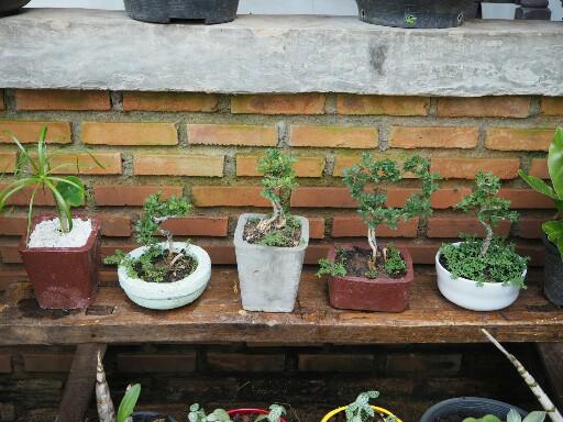 แชร์ไอเดีย DIY กระถางต้นไม้จากกล่องข้าวพลาสติกขั้นตอนทำง่ายใช้อุปกรณ์น้อยชิ้น