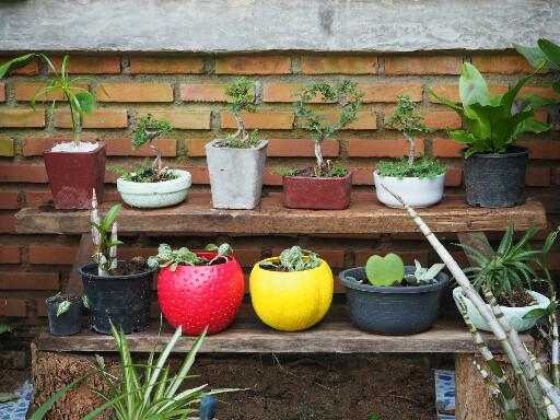 แชร์ไอเดีย DIY กระถางต้นไม้จากกล่องข้าวพลาสติกขั้นตอนทำง่ายใช้อุปกรณ์น้อยชิ้น