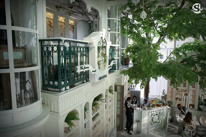 “Organika House” ความฝัน หัวใจ ในเรือนกระจก และบันไดวน ของ “ศรีริต้า เจนเซ่น”