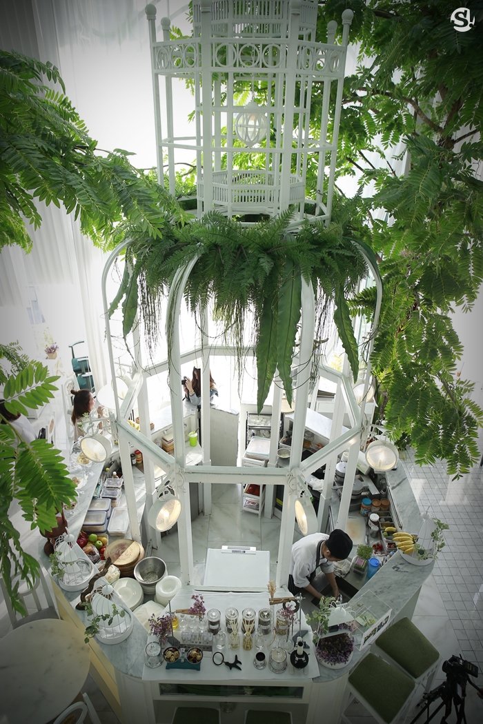 “Organika House” ความฝัน หัวใจ ในเรือนกระจก และบันไดวน ของ “ศรีริต้า เจนเซ่น”