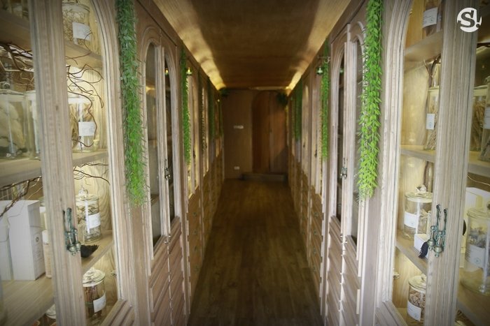 “Organika House” ความฝัน หัวใจ ในเรือนกระจก และบันไดวน ของ “ศรีริต้า เจนเซ่น”