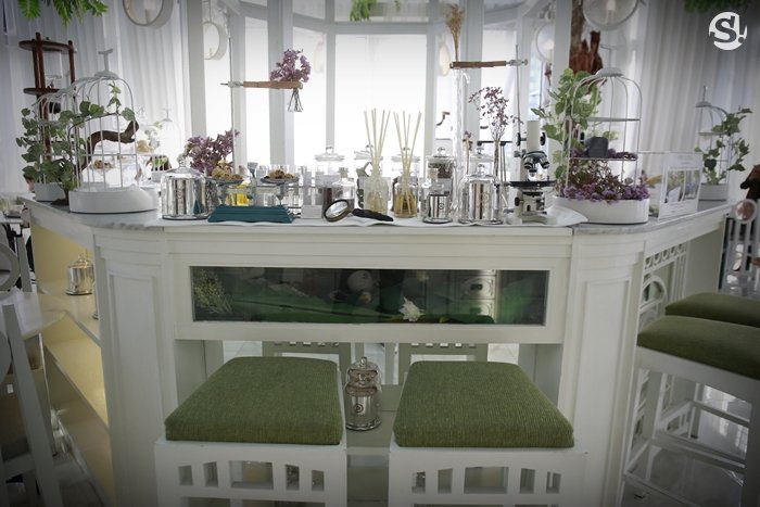 “Organika House” ความฝัน หัวใจ ในเรือนกระจก และบันไดวน ของ “ศรีริต้า เจนเซ่น”