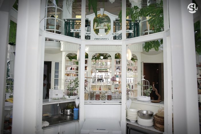 “Organika House” ความฝัน หัวใจ ในเรือนกระจก และบันไดวน ของ “ศรีริต้า เจนเซ่น”