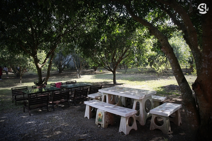 บ้าน 4 ไร่ที่นครนายกของ “เท่ง เถิดเทิง” บ้านไม้เรียบง่ายในสวนผลไม้ มีน้ำตก และไก่ป่า