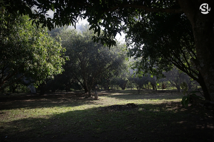 บ้าน 4 ไร่ที่นครนายกของ “เท่ง เถิดเทิง” บ้านไม้เรียบง่ายในสวนผลไม้ มีน้ำตก และไก่ป่า