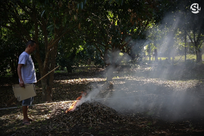 บ้าน 4 ไร่ที่นครนายกของ “เท่ง เถิดเทิง” บ้านไม้เรียบง่ายในสวนผลไม้ มีน้ำตก และไก่ป่า