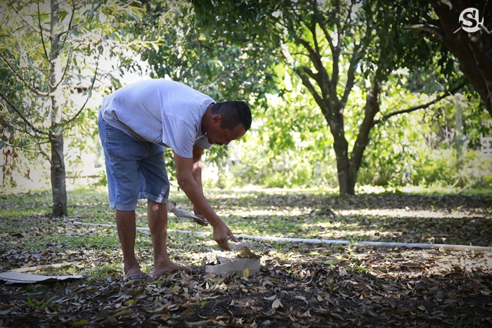 บ้าน 4 ไร่ที่นครนายกของ “เท่ง เถิดเทิง” บ้านไม้เรียบง่ายในสวนผลไม้ มีน้ำตก และไก่ป่า