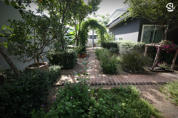 ชมสวนบ้านคุณแม่ชมพู่ อารยา หน้าบ้านเป็นสวนยุโรป หลังบ้านเป็นสวนครัวไทยสไตล์ฝรั่ง
