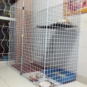 แชร์ไอเดีย 'DIY กรงแมว' สร้างพื้นที่พักผ่อนและปลอดภัยให้กับเจ้าขนปุย
