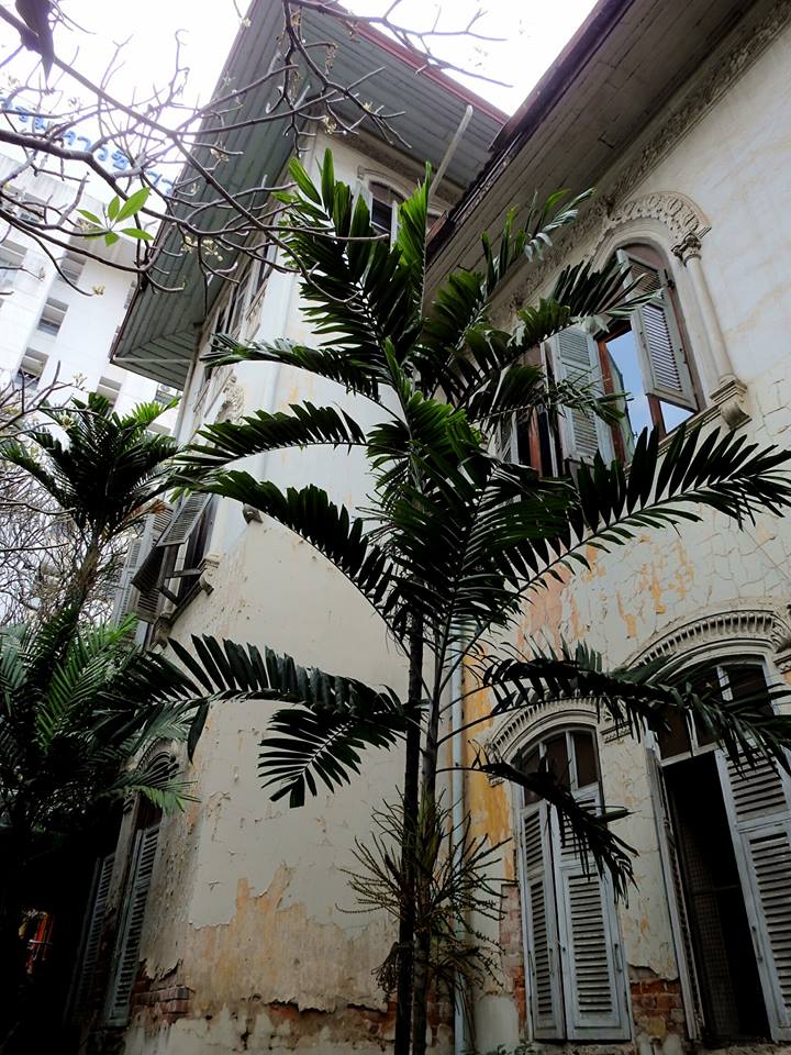 ‘บ้านคุณพระ’ สถาปัตยกรรมฝรั่ง สิ่งปลูกสร้างอลังการที่สุดในสมัยรัชกาลที่ 5