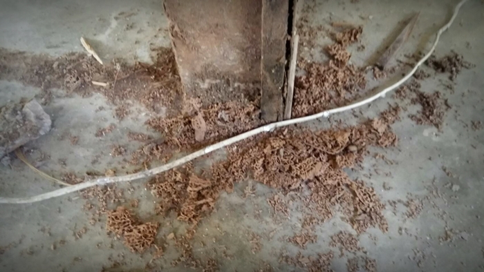 รีโนเวทเล็กๆ บ้านเก่าของคุณยาย