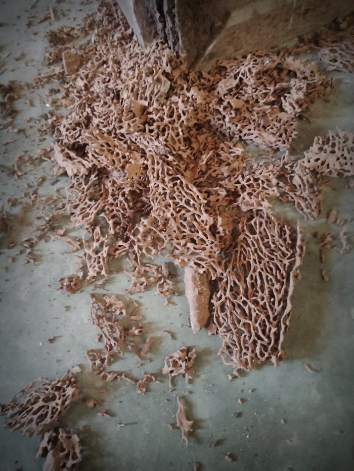 รีโนเวทเล็กๆ บ้านเก่าของคุณยาย