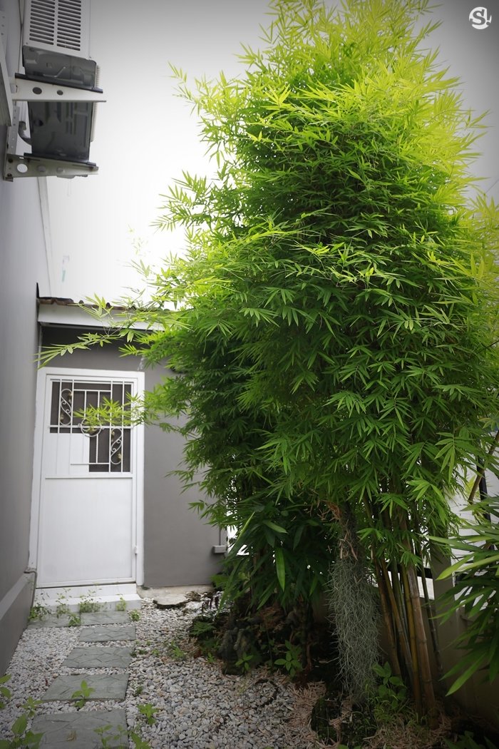 เปิดบ้าน “ริว จิตสัมผัส” ออกแบบบ้านตามหลักฮวงจุ้ยตั้งแต่หน้าบ้านถึงท้ายบ้าน
