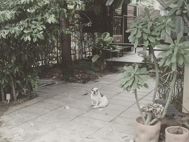 บ้าน 3 หลัง 3 จังหวัดของผู้ชายดื้อเพราะความเชื่อ “ตูน บอดี้สแลม”