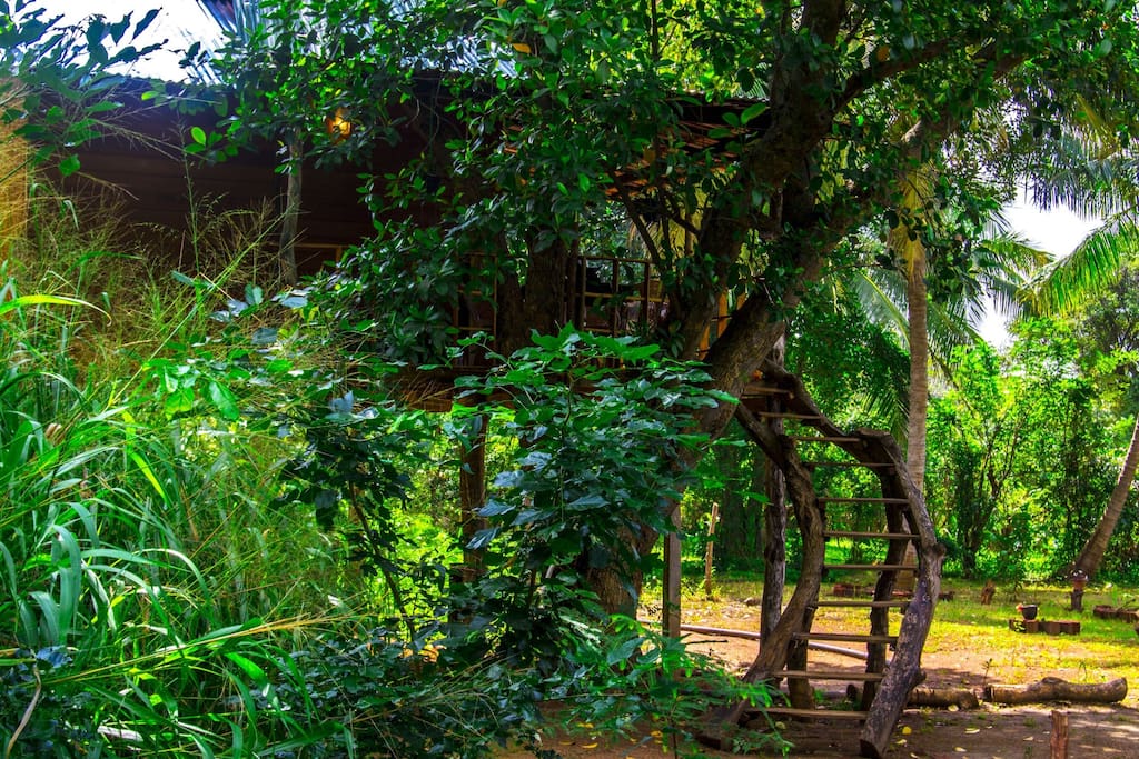 บ้านต้นไม้ยกพื้นสูง ที่พักแบบ Eco-Retreat เข้าถึงและใกล้ชิดกับธรรมชาติ