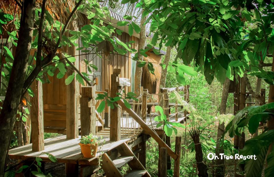 7 บ้านไม้ยกพื้นใต้ถุนสูง แบบไทยโบราณ บรรยากาศร่มรื่น