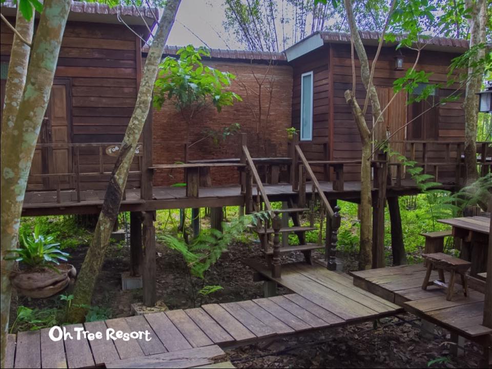 7 บ้านไม้ยกพื้นใต้ถุนสูง แบบไทยโบราณ บรรยากาศร่มรื่น