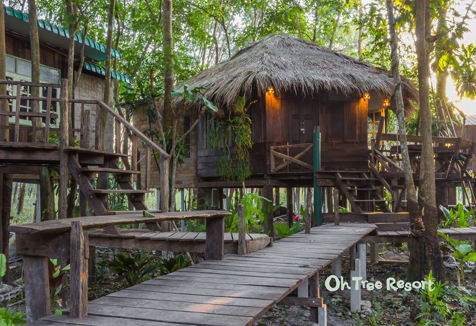 7 บ้านไม้ยกพื้นใต้ถุนสูง แบบไทยโบราณ บรรยากาศร่มรื่น