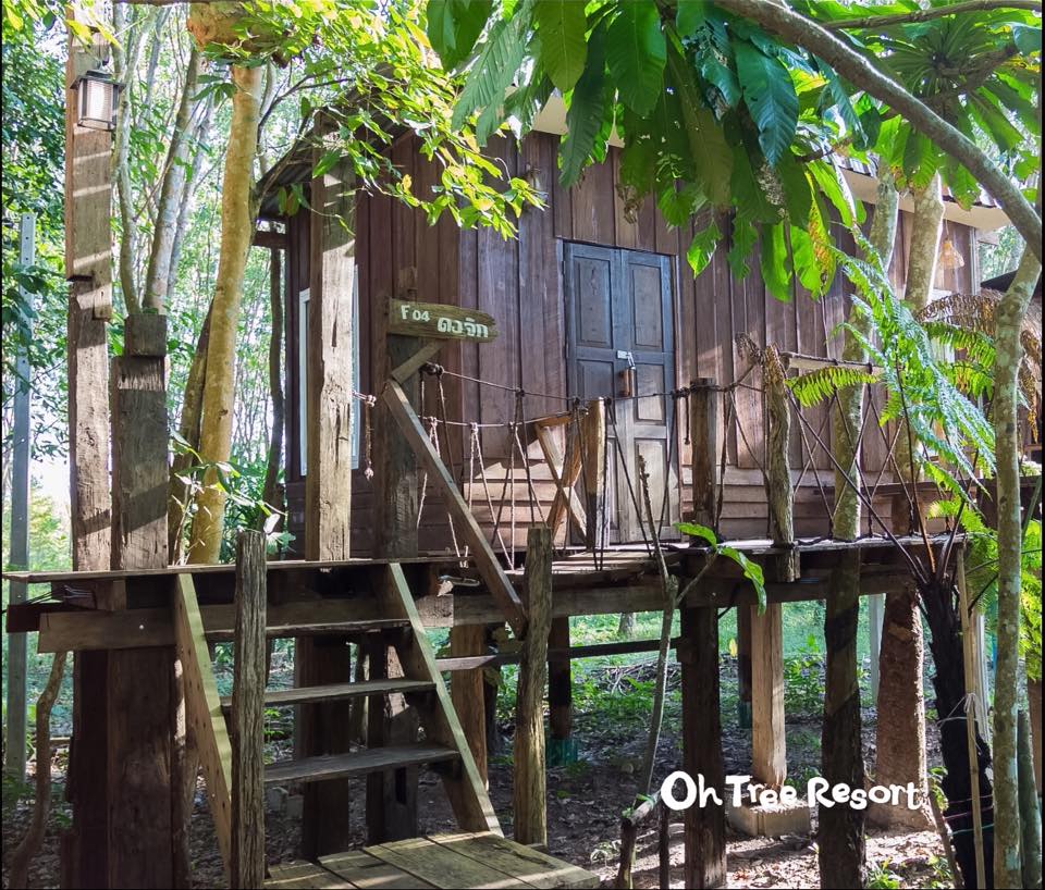 7 บ้านไม้ยกพื้นใต้ถุนสูง แบบไทยโบราณ บรรยากาศร่มรื่น