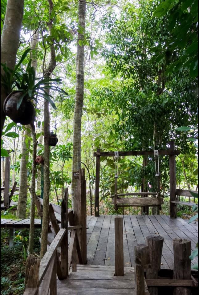 7 บ้านไม้ยกพื้นใต้ถุนสูง แบบไทยโบราณ บรรยากาศร่มรื่น