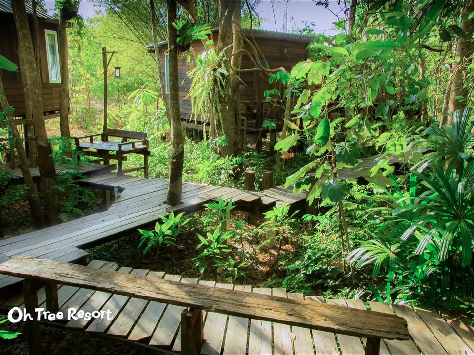 7 บ้านไม้ยกพื้นใต้ถุนสูง แบบไทยโบราณ บรรยากาศร่มรื่น