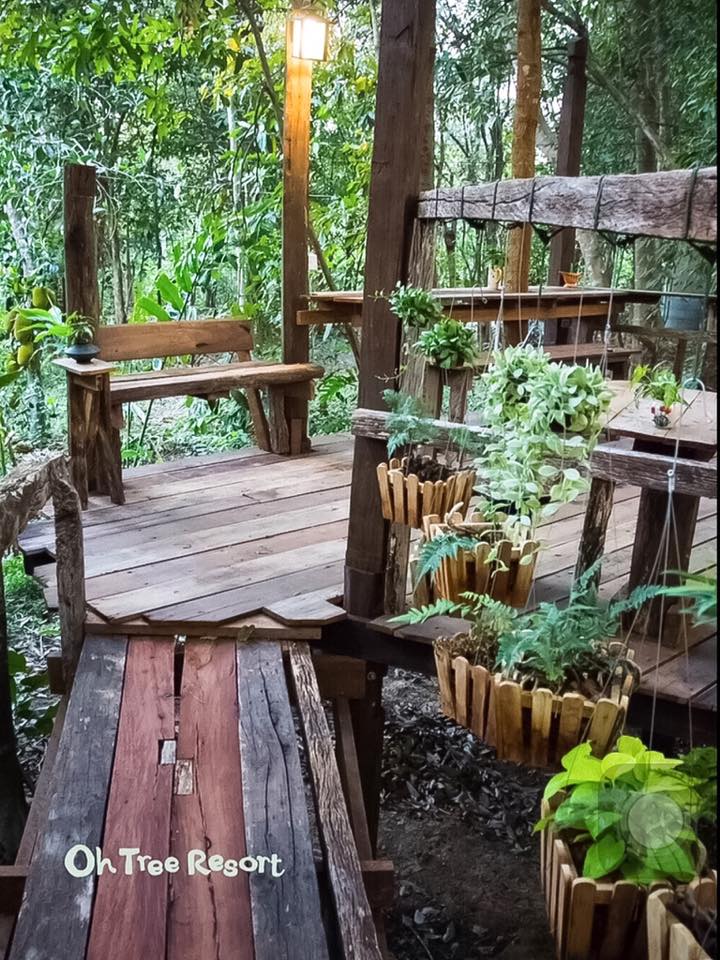 7 บ้านไม้ยกพื้นใต้ถุนสูง แบบไทยโบราณ บรรยากาศร่มรื่น