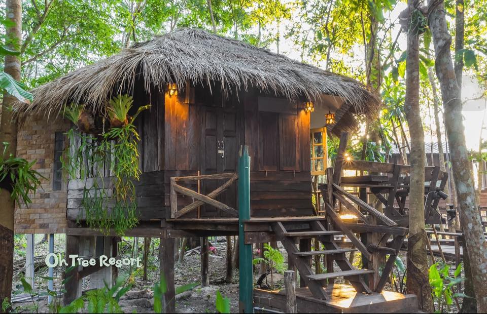 7 บ้านไม้ยกพื้นใต้ถุนสูง แบบไทยโบราณ บรรยากาศร่มรื่น