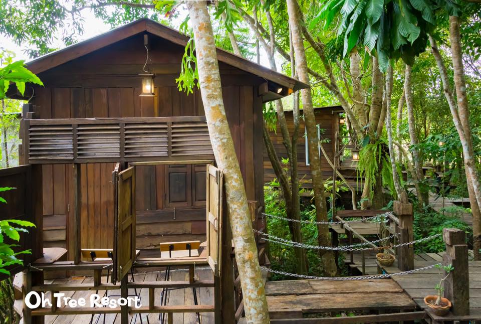 7 บ้านไม้ยกพื้นใต้ถุนสูง แบบไทยโบราณ บรรยากาศร่มรื่น