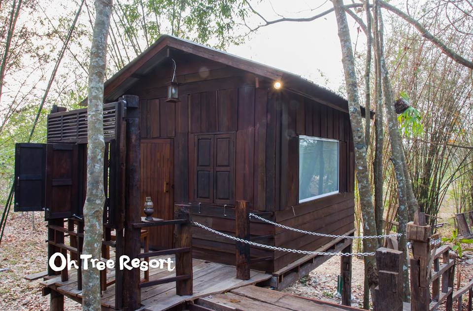 7 บ้านไม้ยกพื้นใต้ถุนสูง แบบไทยโบราณ บรรยากาศร่มรื่น