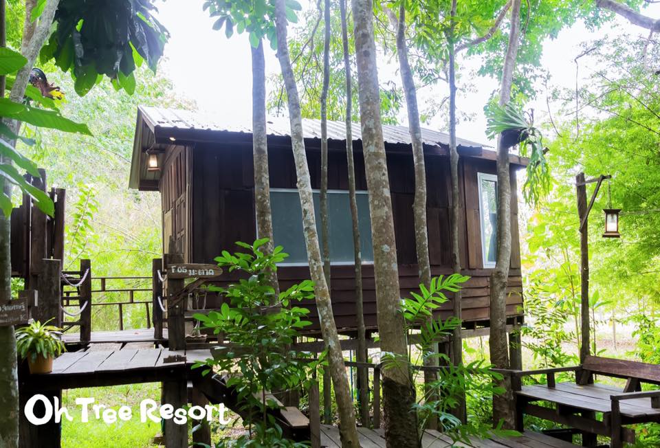 7 บ้านไม้ยกพื้นใต้ถุนสูง แบบไทยโบราณ บรรยากาศร่มรื่น