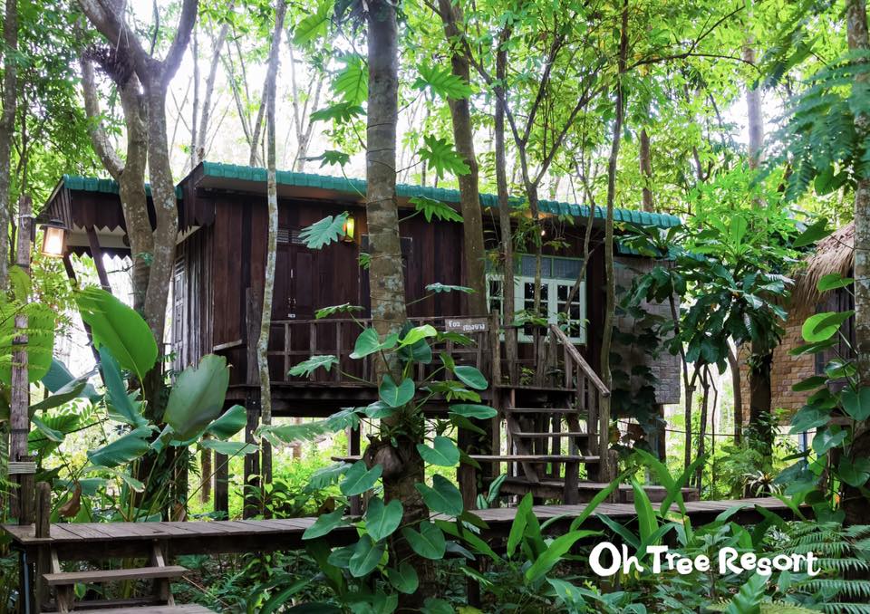 7 บ้านไม้ยกพื้นใต้ถุนสูง แบบไทยโบราณ บรรยากาศร่มรื่น