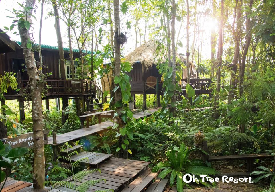 7 บ้านไม้ยกพื้นใต้ถุนสูง แบบไทยโบราณ บรรยากาศร่มรื่น