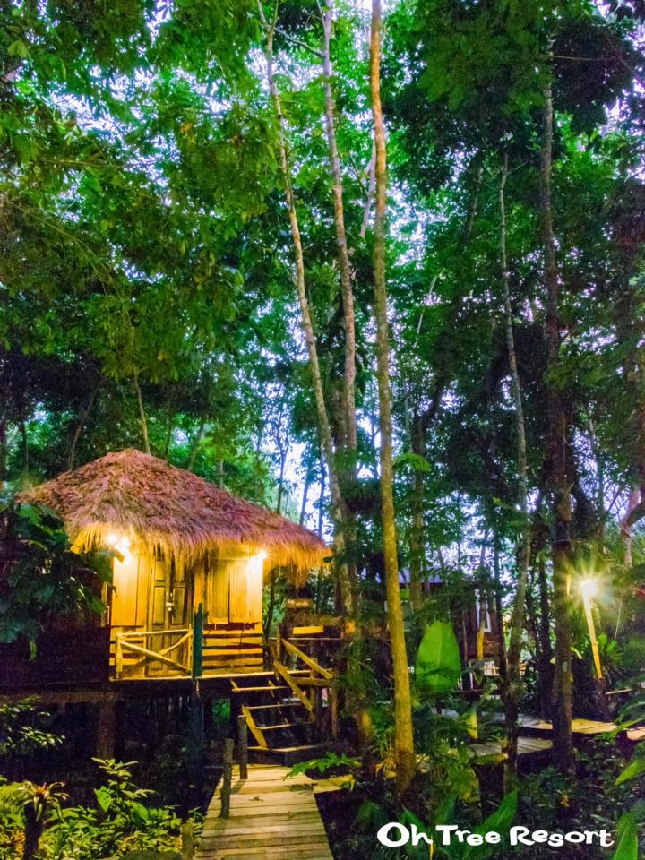 7 บ้านไม้ยกพื้นใต้ถุนสูง แบบไทยโบราณ บรรยากาศร่มรื่น