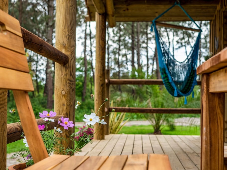 บ้านไม้หลังเล็กน่ารัก บรรยากาศอบอุ่น ล้อมรอบด้วยสนามหญ้าและต้นไม้