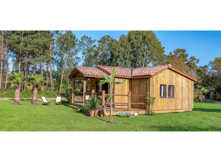 บ้านไม้หลังเล็กน่ารัก บรรยากาศอบอุ่น ล้อมรอบด้วยสนามหญ้าและต้นไม้