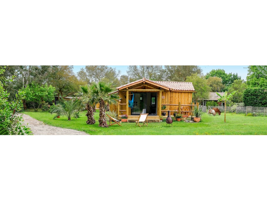 บ้านไม้หลังเล็กน่ารัก บรรยากาศอบอุ่น ล้อมรอบด้วยสนามหญ้าและต้นไม้